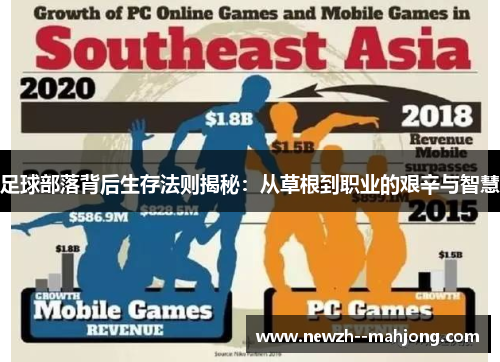 足球部落背后生存法则揭秘：从草根到职业的艰辛与智慧